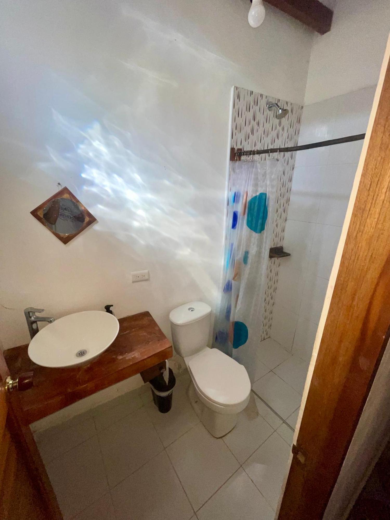 Casa Palum Private Room Private Bathroom Palomino Dış mekan fotoğraf